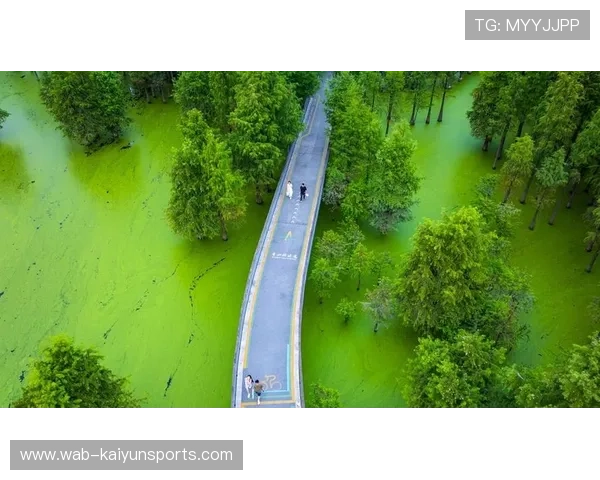 特色绿道跑，城市中的绿色运动之旅，绿道有什么